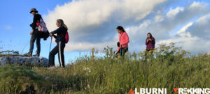 sentiero tra fiori e prati montani